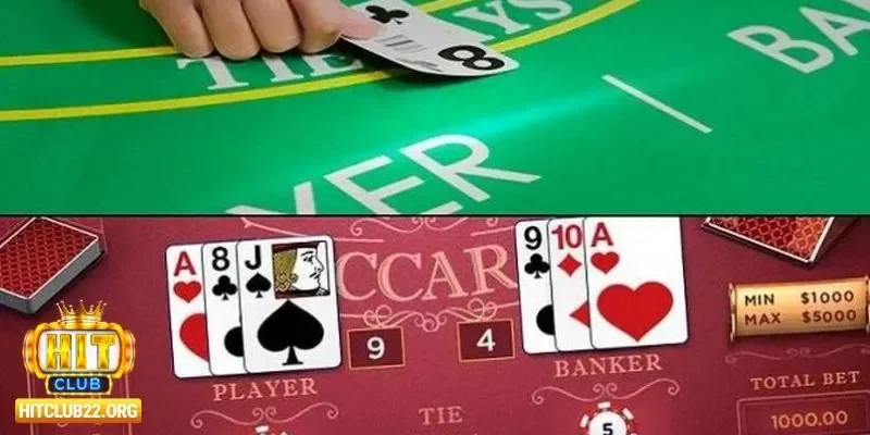 Những điều khiến bài cào trở nên hấp dẫn