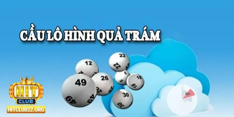 Sự lan tỏa và triển vọng của lô hình quả trám